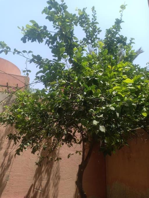Villa Assif